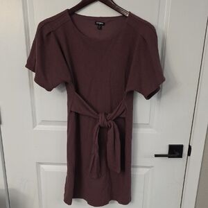 Express Purple Dress
